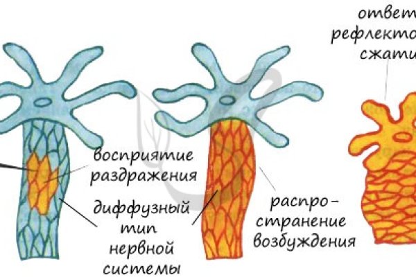 Ссылка кракен магазин