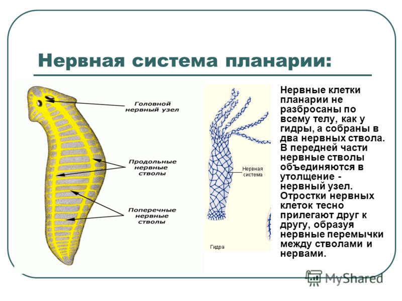 Кракен наркотики россия